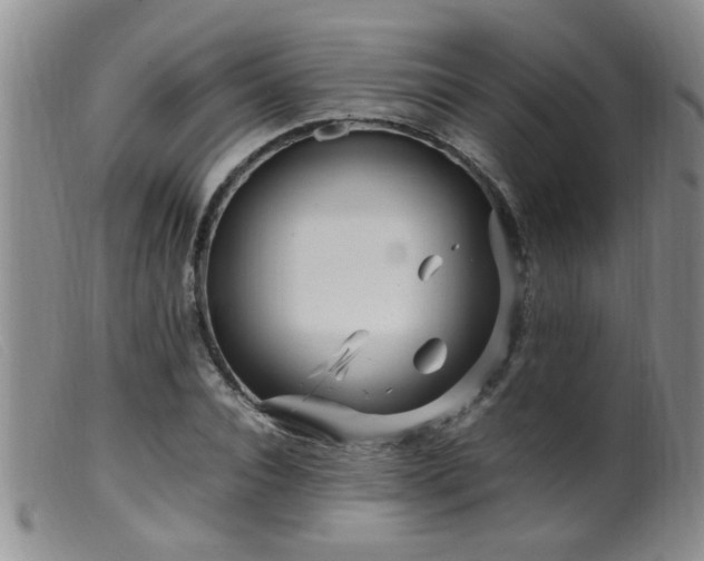 X0000099460928200805161043