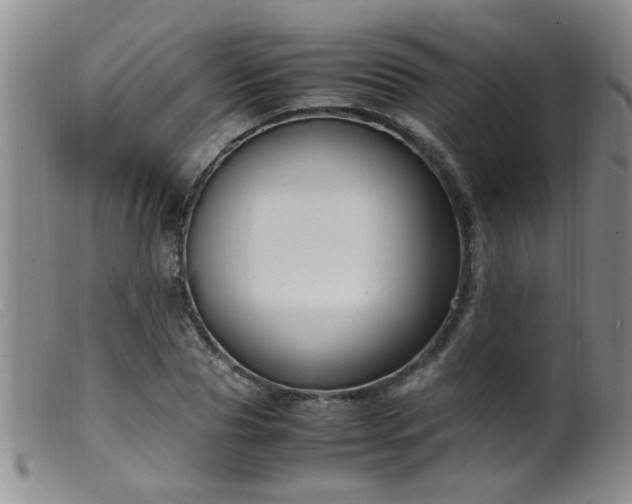 X0000099460929200805161043