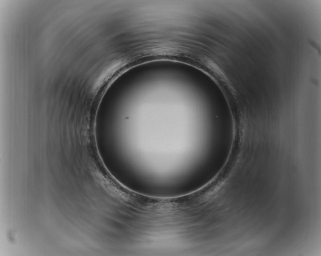 X0000099460930200805161043