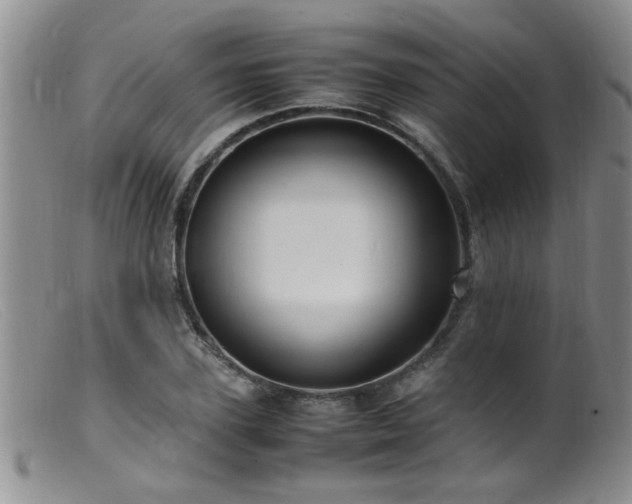 X0000099460931200805161043