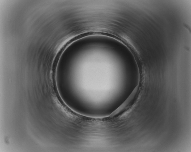 X0000099460932200805161043