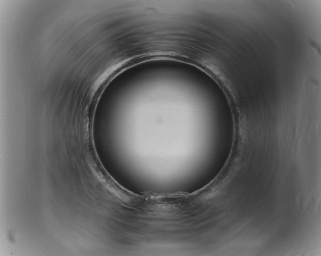 X0000099460933200805161043