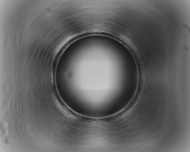 X0000099460934200805161043