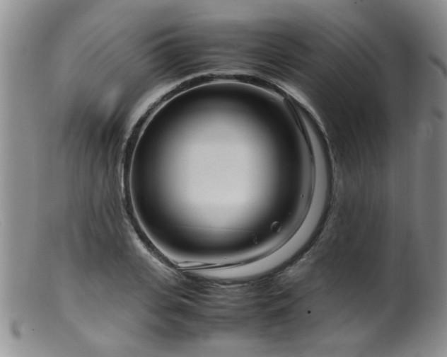 X0000099460935200805161043