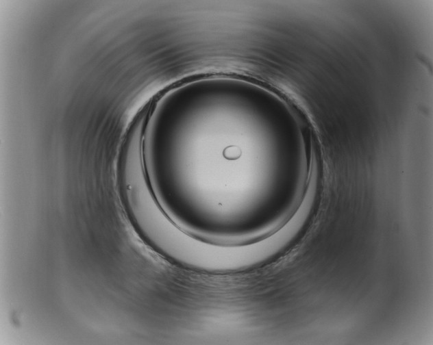 X0000099460936200805161043