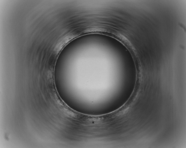 X0000099460937200805161043