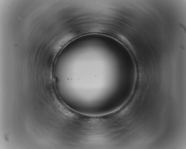 X0000099460938200805161043