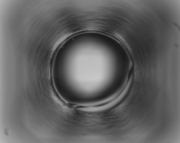 X0000099460939200805161043