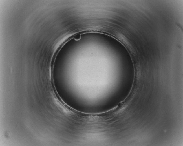 X0000099460940200805161043