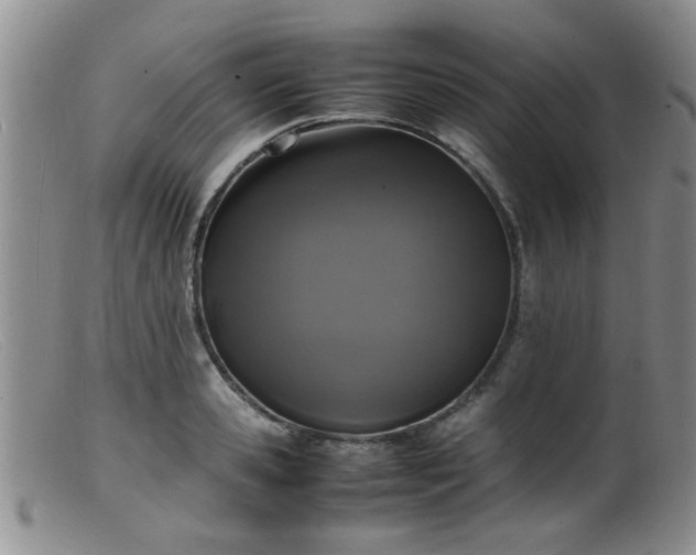 X0000099460941200805161043