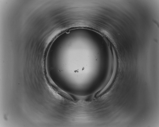 X0000099460942200805161043