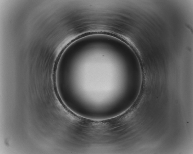 X0000099460943200805161043