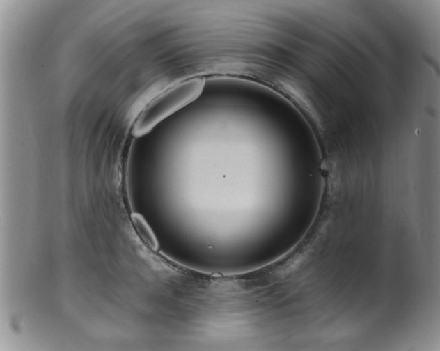 X0000099460944200805161043