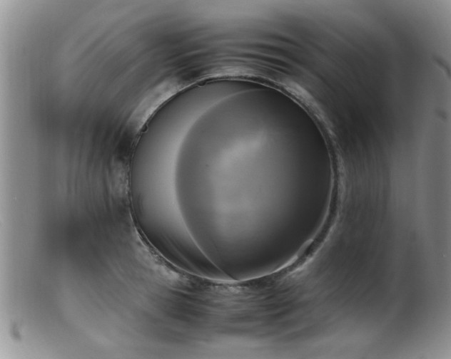 X0000099460945200805161043