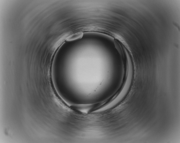 X0000099460946200805161044