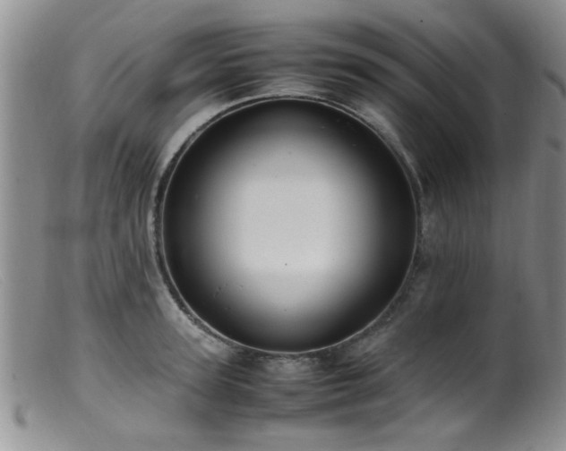 X0000099460947200805161044