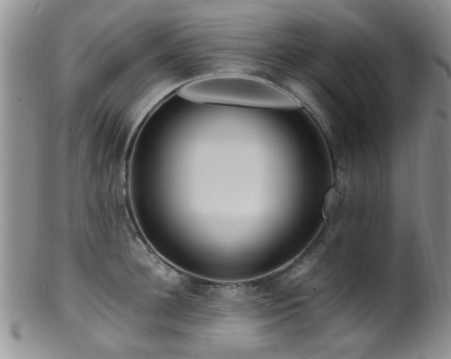 X0000099460948200805161044