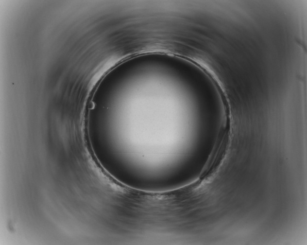 X0000099460949200805161044