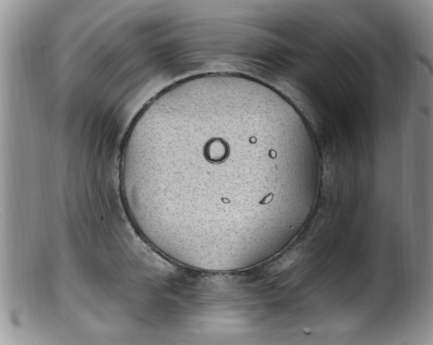 X0000099460950200805161044