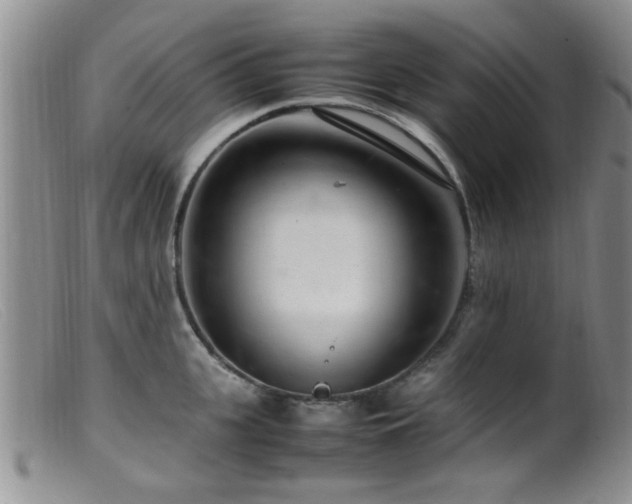 X0000099460951200805161044