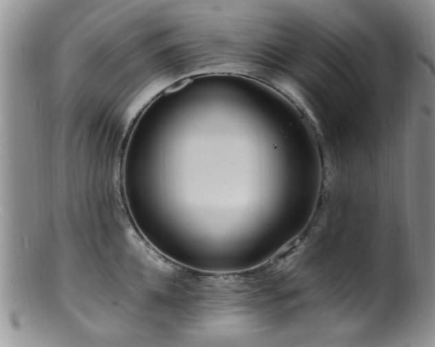 X0000099460952200805161044