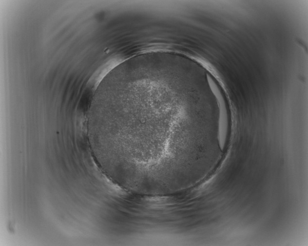 X0000099460953200805161044