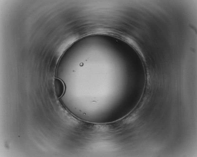 X0000099460954200805161044