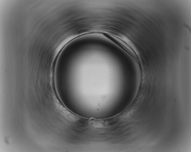 X0000099460955200805161044