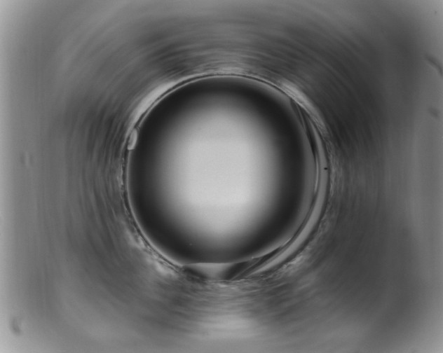 X0000099460956200805161044