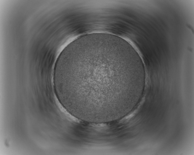 X0000099460957200805161044