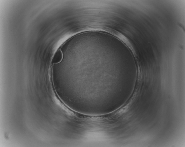 X0000099460958200805161044