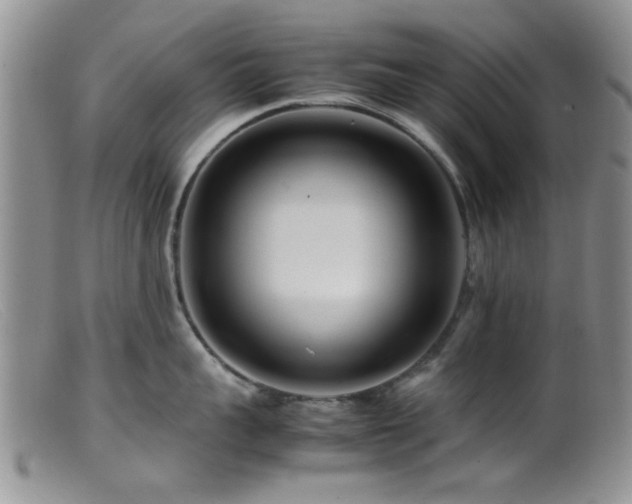 X0000099460959200805161044