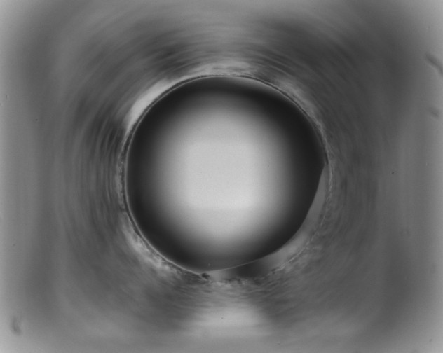 X0000099460960200805161044