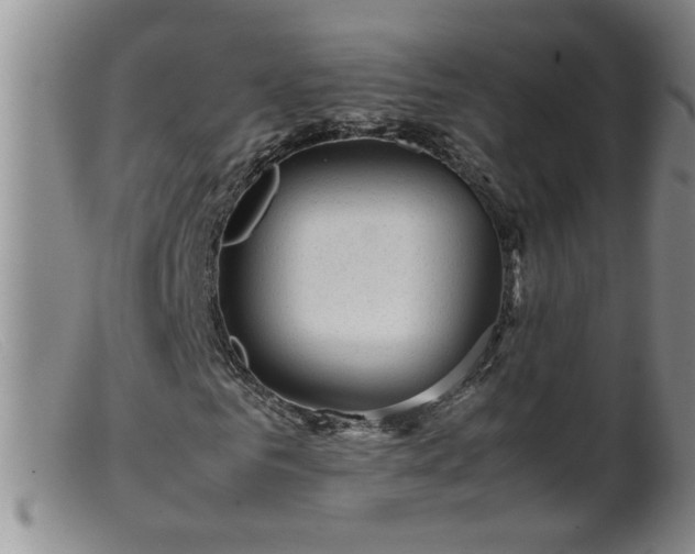 X0000099460961200805161043