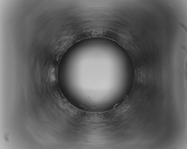 X0000099460962200805161043