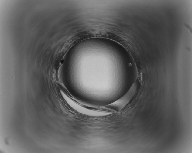 X0000099460963200805161043