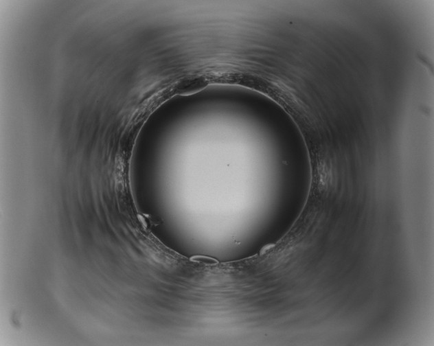 X0000099460964200805161043