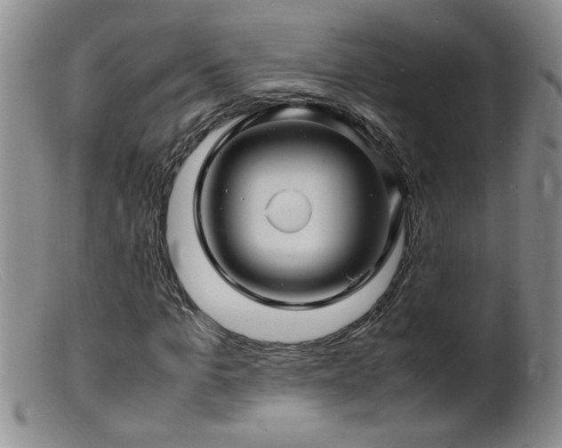 X0000099460965200805161043