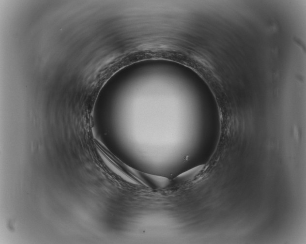 X0000099460966200805161043