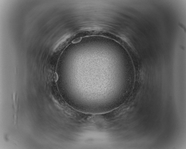 X0000099460967200805161043