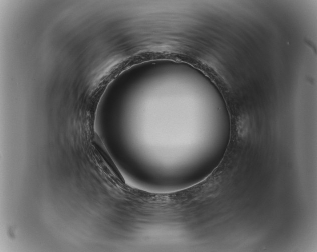 X0000099460968200805161043