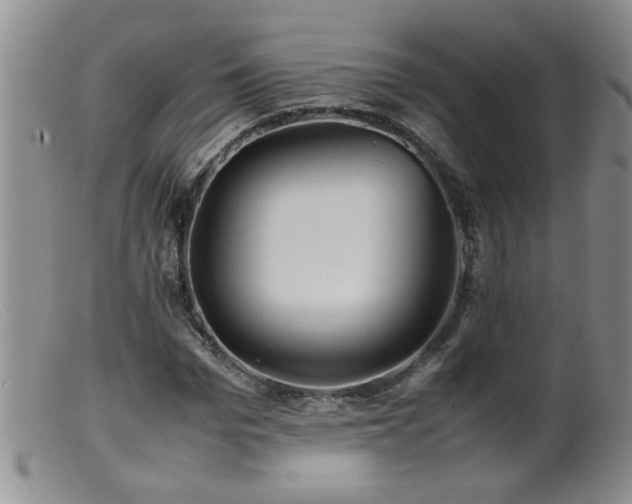 X0000099460969200805161043