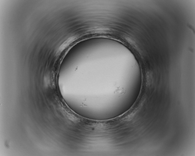 X0000099460970200805161043