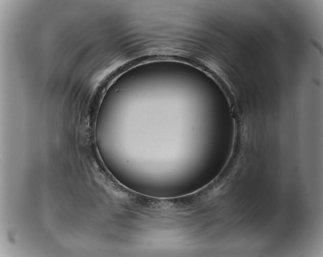 X0000099460971200805161043