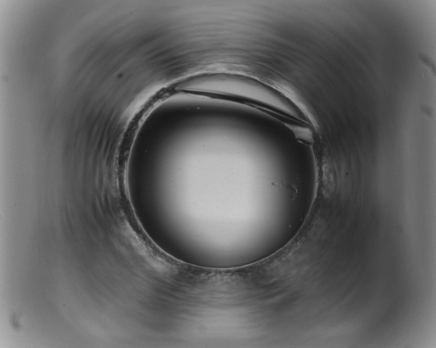 X0000099460972200805161043