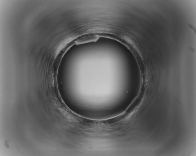 X0000099460973200805161043