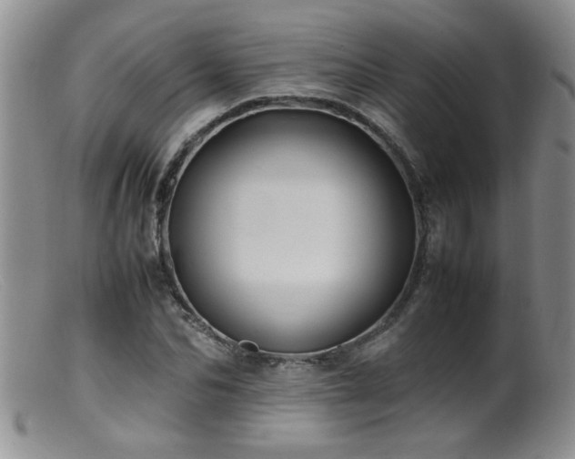 X0000099460974200805161043