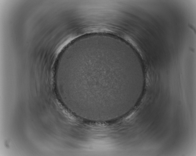 X0000099460975200805161043