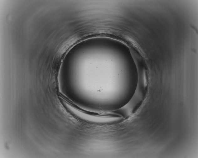 X0000099460977200805161043