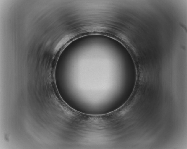 X0000099460978200805161043